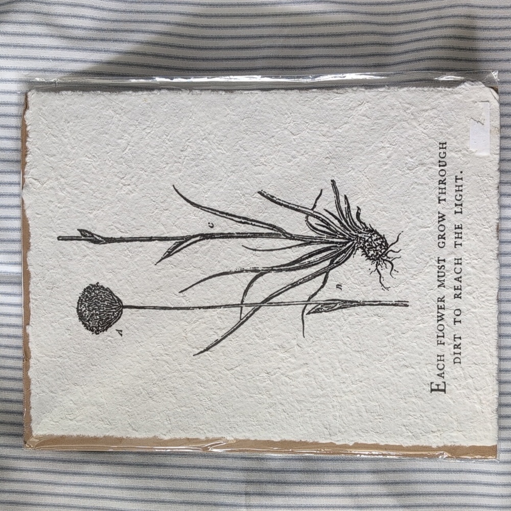 Each Flower Must Grow Botanical Handmade Paper Print by Sugarboo & Co nwt